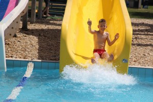 IMG 0422